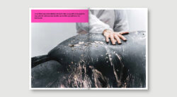 Il_Lazzaretto-libro-02-22-250x138