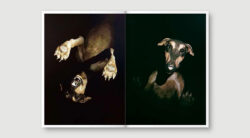 Il_Lazzaretto-libro-04-22-250x138