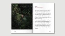 Libro_5-Ordine_Disordine_2021-FINALE-36-250x138