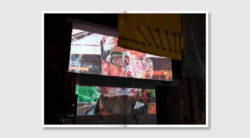 Libro_08-Ordinario-e-Mostruoso_2024-82-250x138