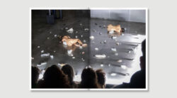 Libro_9-Potere_Piacere_2025-45-250x138